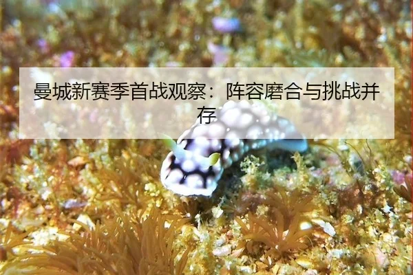man-cheng-xin-sai-ji-shou-zhan-guan-cha-zhen-rong-mo-he-yu-tiao-zhan-bing-cun-2-788.jpg